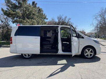 Mercedes Viano